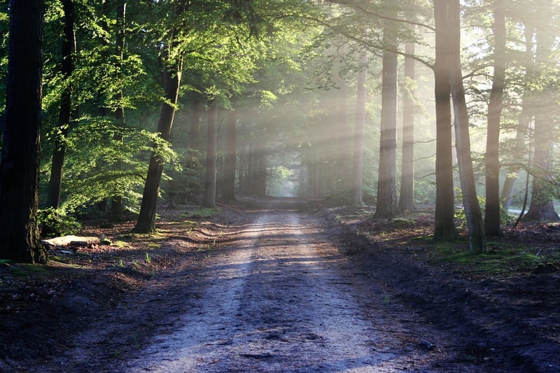 Green Environment
